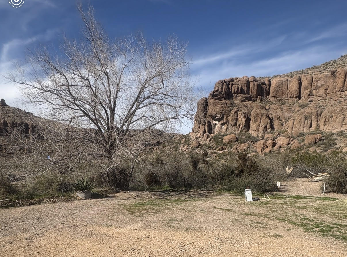 Beautiful desert landscape at the park